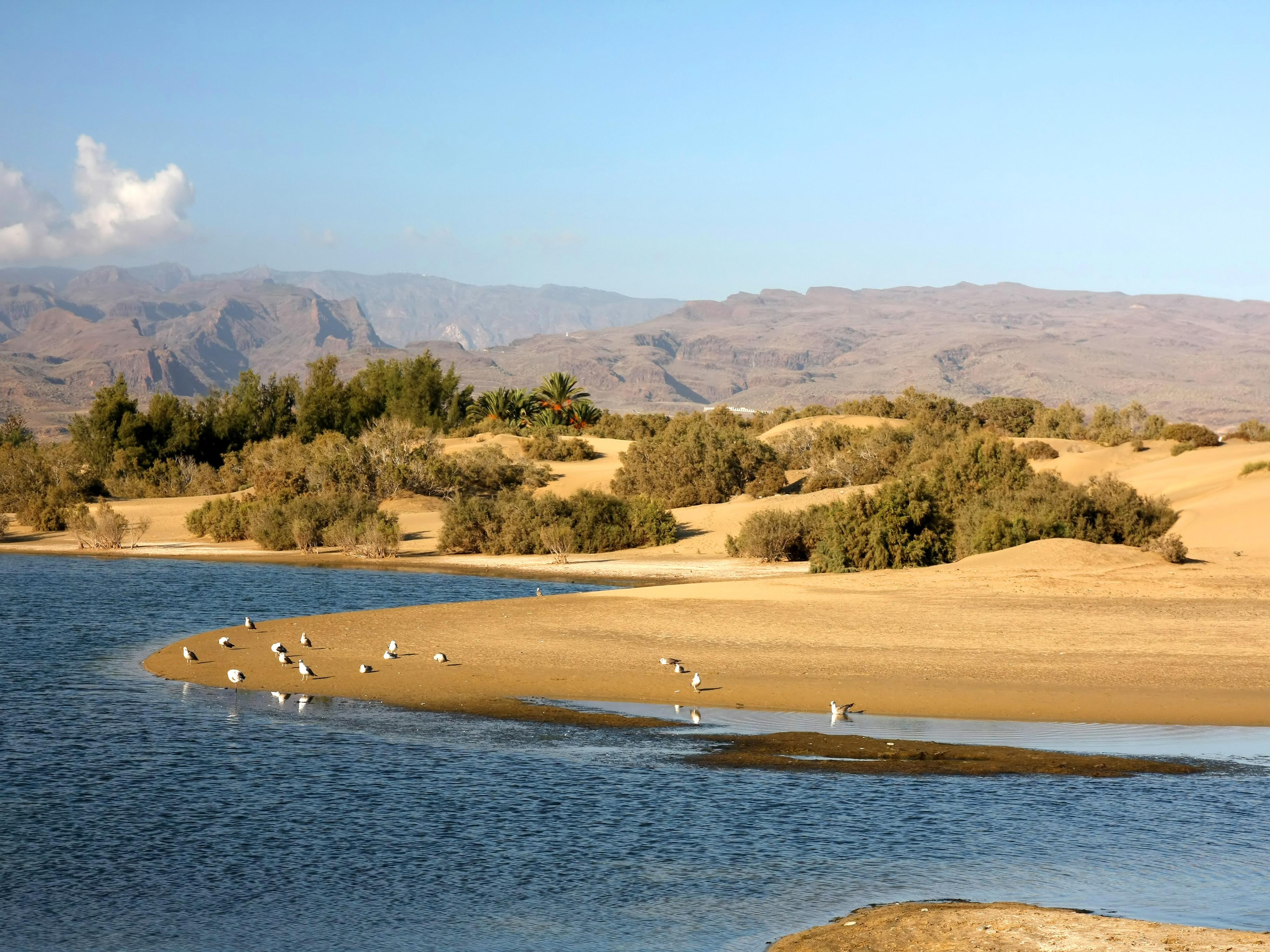 Bungalows Vistaflor Maspalomas  Luaran gambar